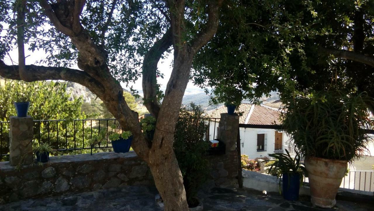Don Claudio Guest House Grazalema Exterior photo